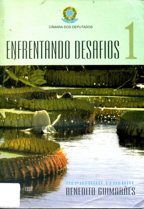 Enfrentando Desafios 1
